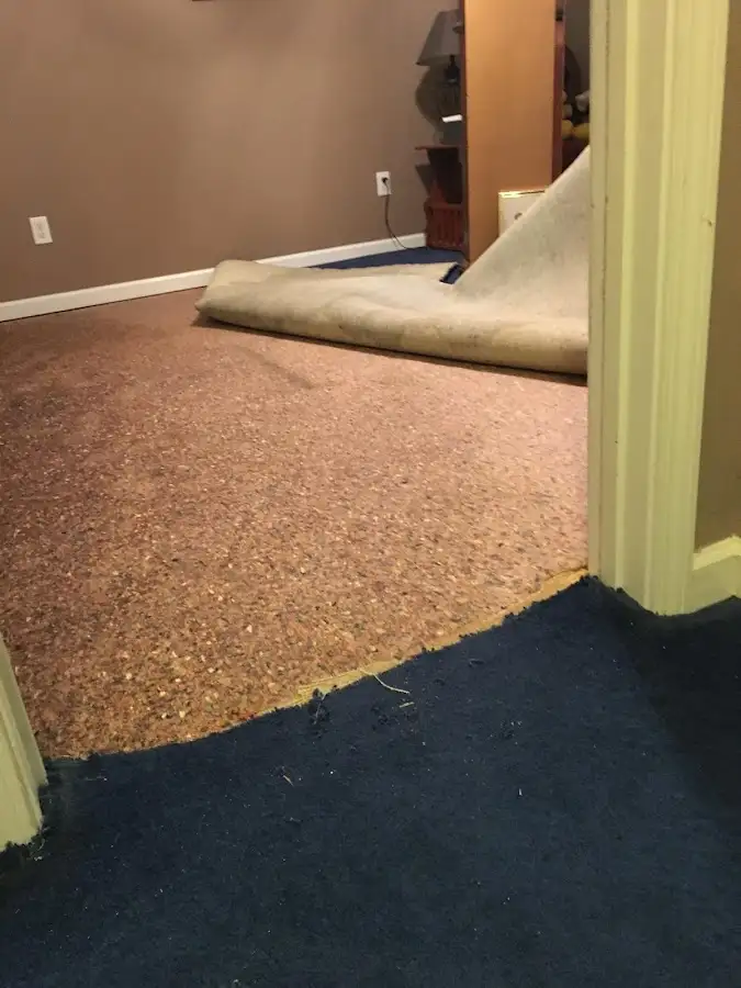 Carpet pad removal revealing water damage during Water Mitigation Services in Cypress Lake