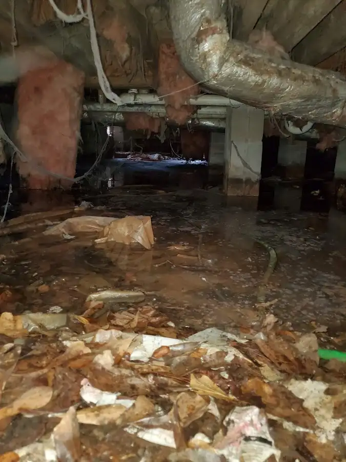 Crawl space flood assessment for Leak Detection & Repair in Cypress Lake