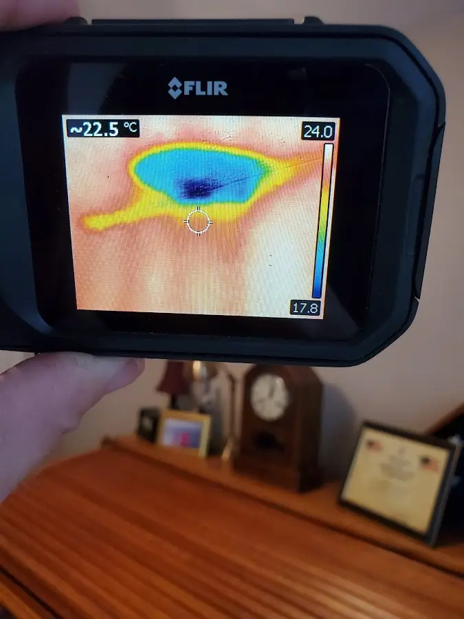Thermal imaging inspection for water damage in Cypress Lake
