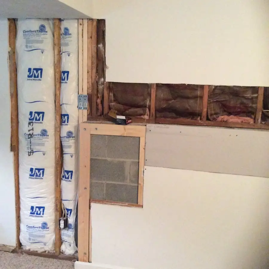Wall insulation replacement during Odor Removal & Deodorization in Cypress Lake
